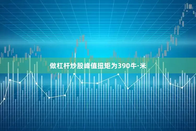 做杠杆炒股峰值扭矩为390牛·米