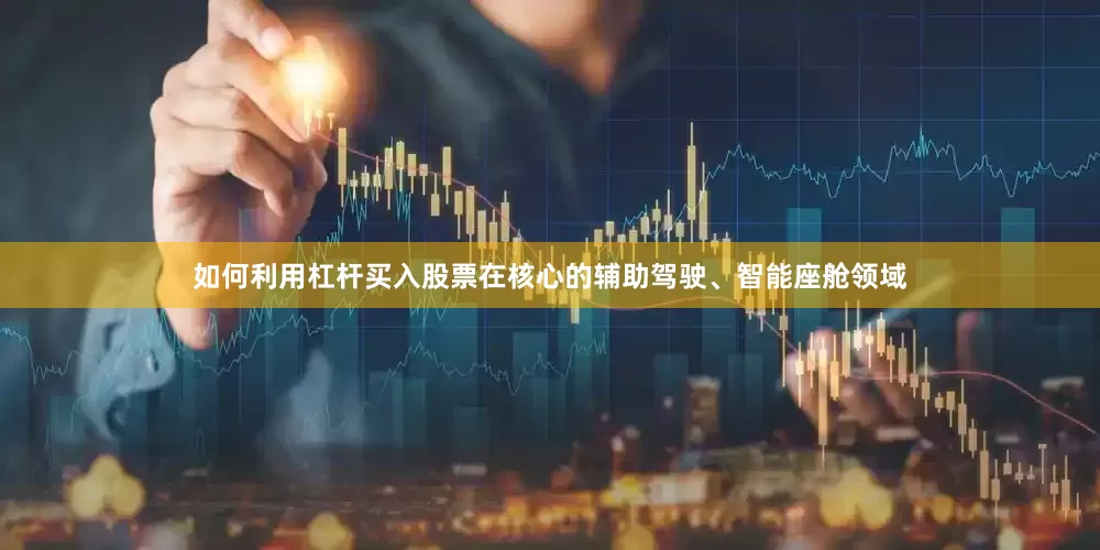 如何利用杠杆买入股票在核心的辅助驾驶、智能座舱领域